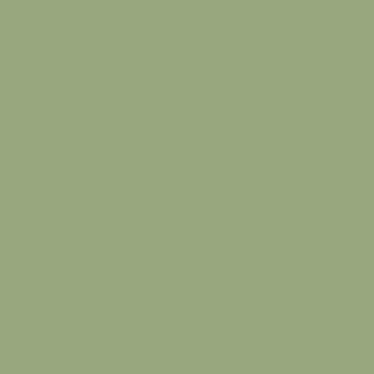 DLX1121-5 Guacamole