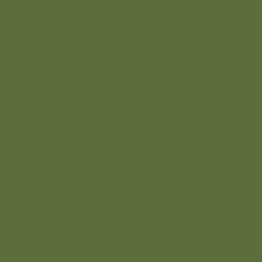 DLX1121-7 Globe Artichoke