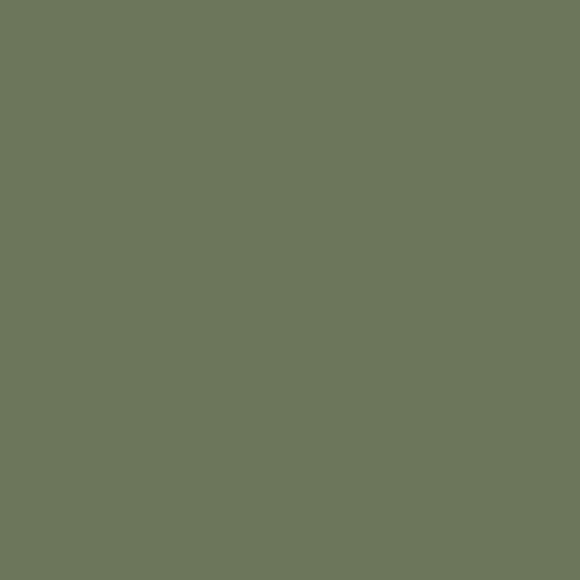 DLX1124-6 Dark Sage
