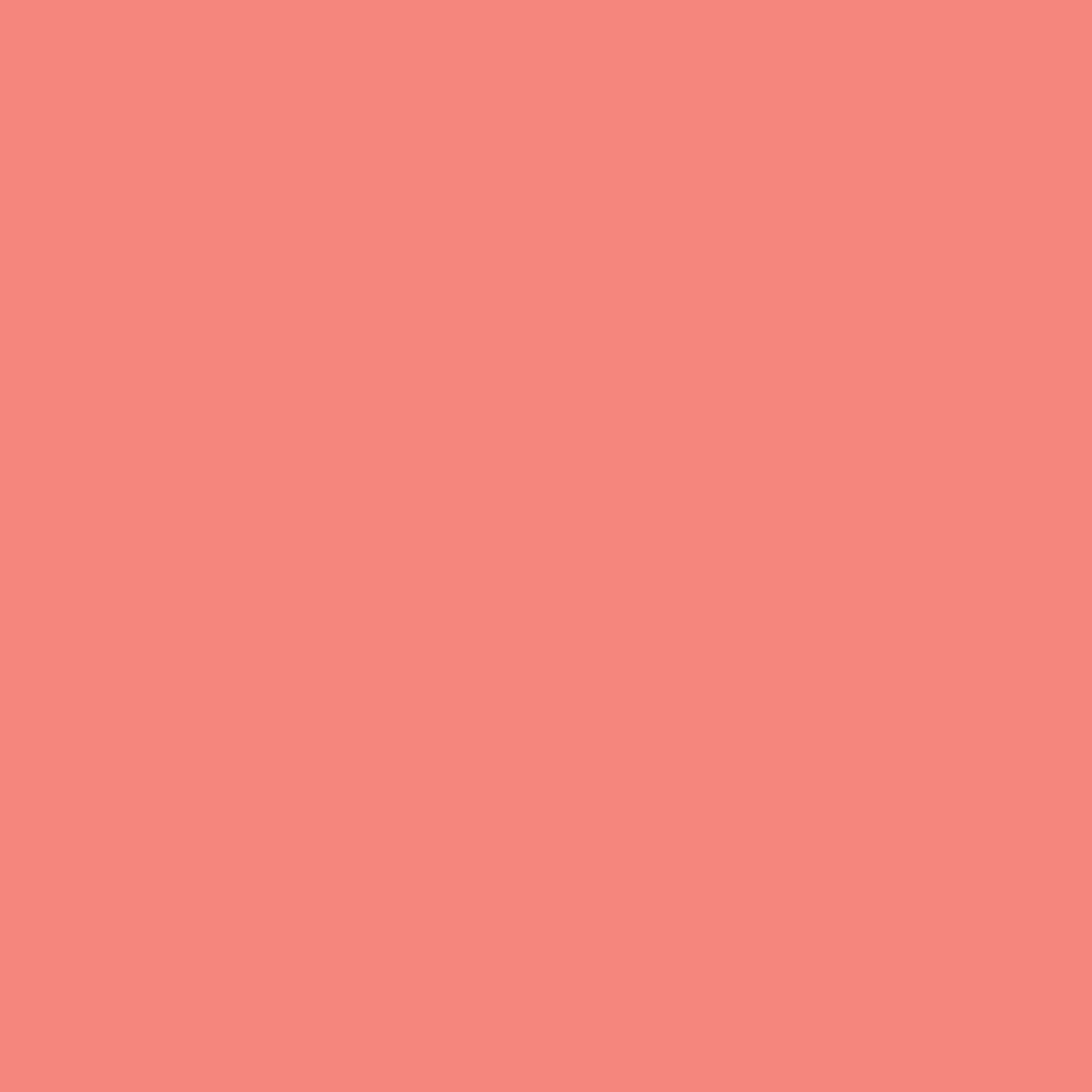 DLX1189-5 Smoked Salmon – Vision by Dulux