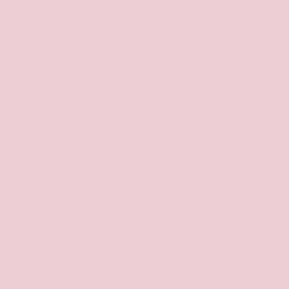 DLX1050-2 Pink Pail