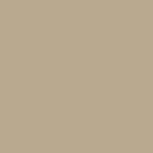 DLX1102-4 Prairie Dust