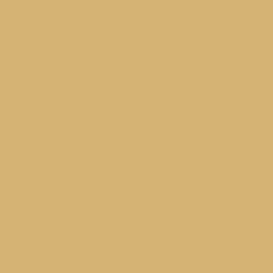 DLX1108-5 Spicy Mustard