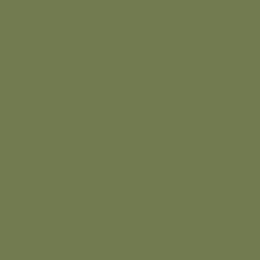 DLX1120-7 Mint Leaves