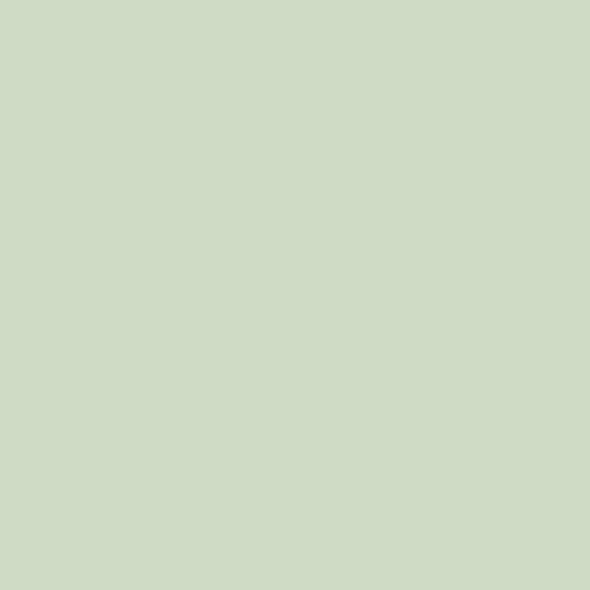 DLX1121-3 Pale Moss Green