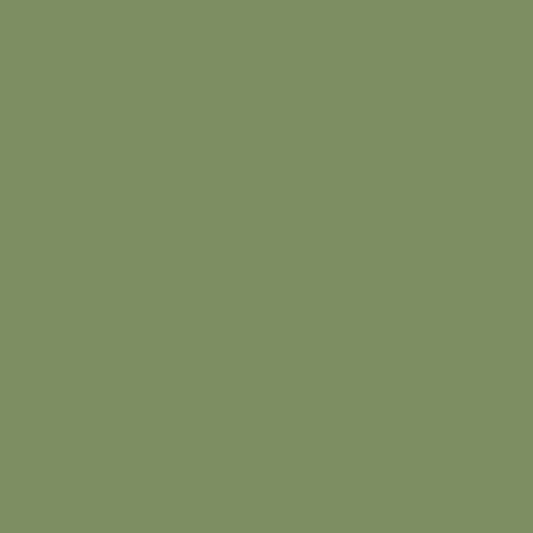 DLX1121-6 Moss Point Green