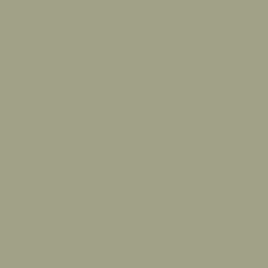 DLX1126-5 Zebra Grass