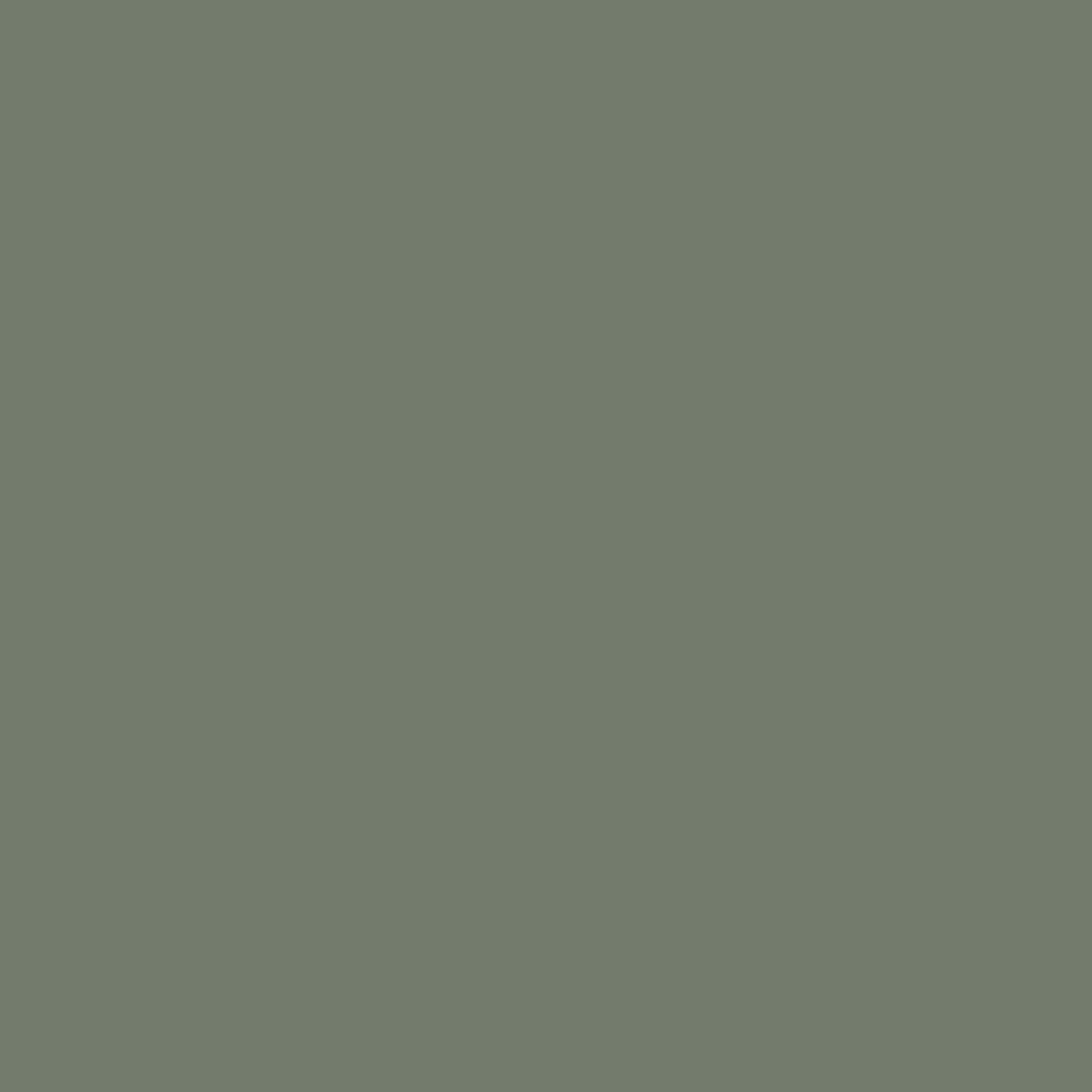 DLX1128-6 Thyme Green