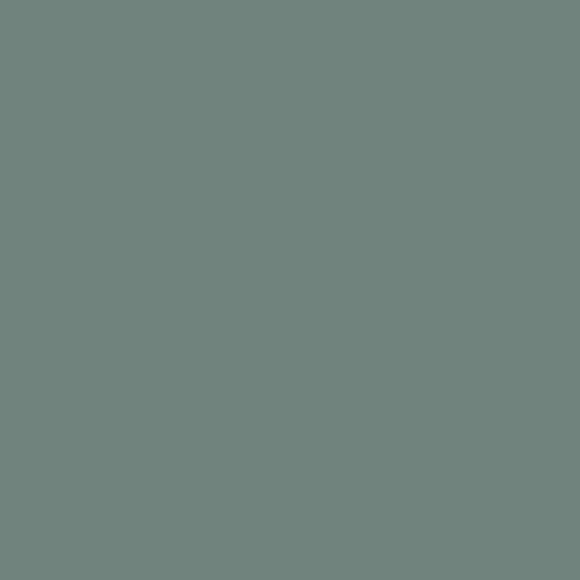 DLX1136-6 Dwarf Spruce