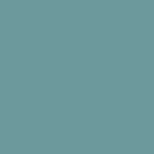 DLX1146-5 Palmetto