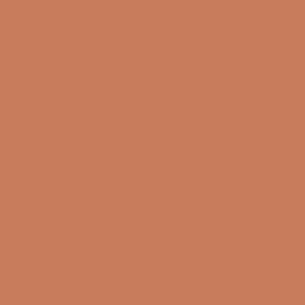 DLX1199-6 Brown Clay