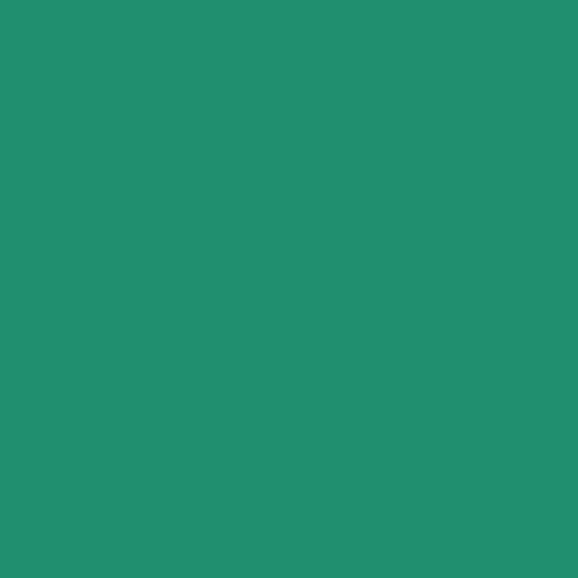 DLX1228-6 Leprechaun