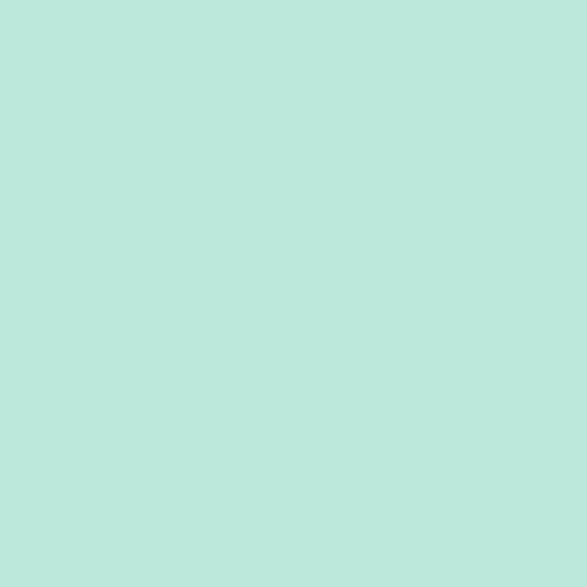 DLX1229-2 Wintergreen Mint