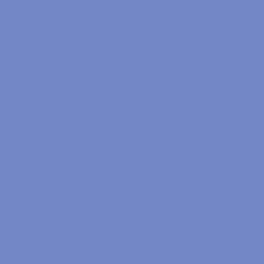 DLX1246-6 Violets Are Blue